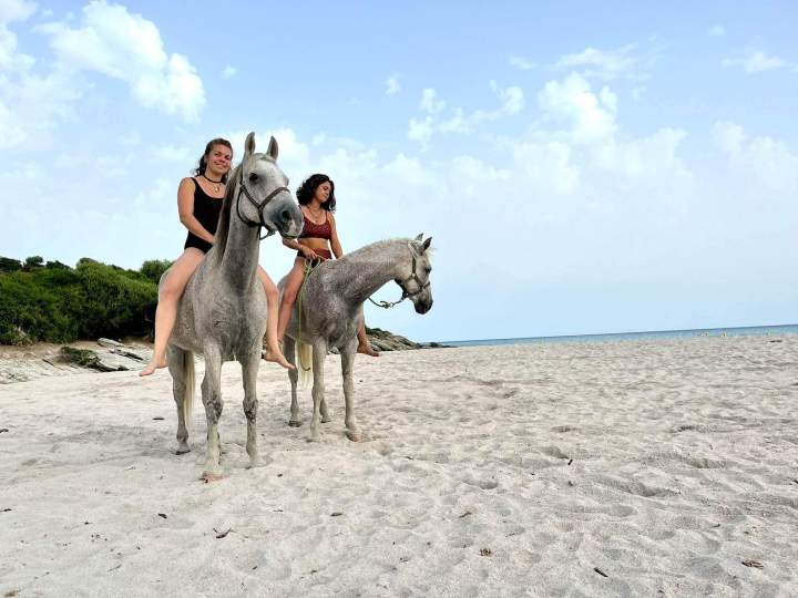 WhatsApp Image 2025 09 24 at 15.25.39