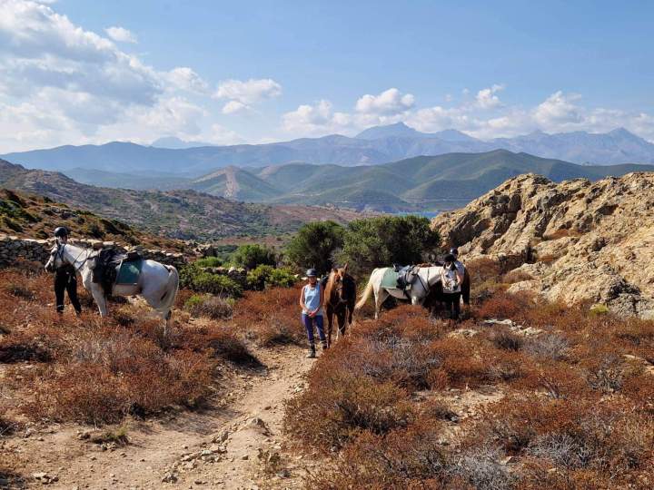 immersion sur les sentiers corses (3)