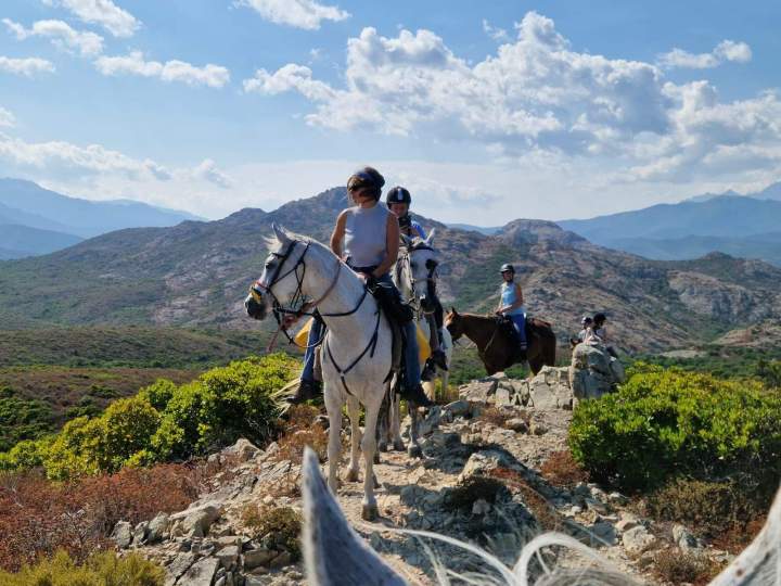 Randonnée équestre Corte