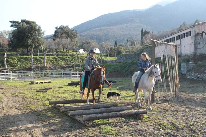 Mountain trail équitation Corte