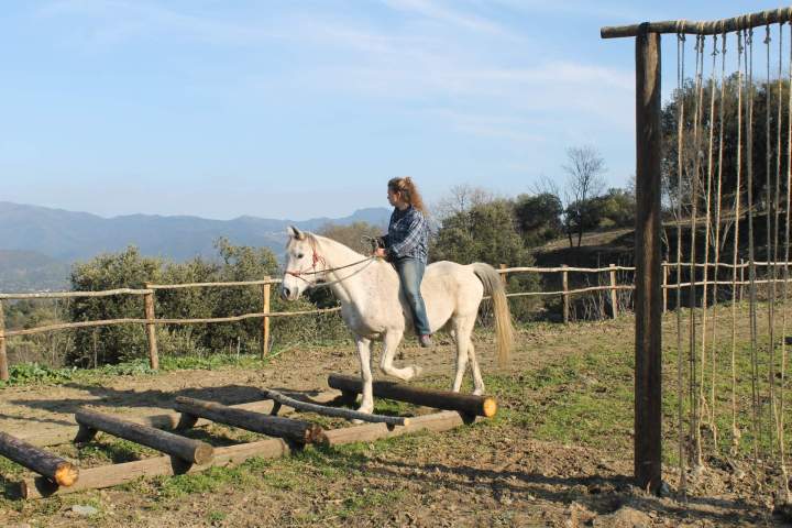 Mountain TRAIL Corte